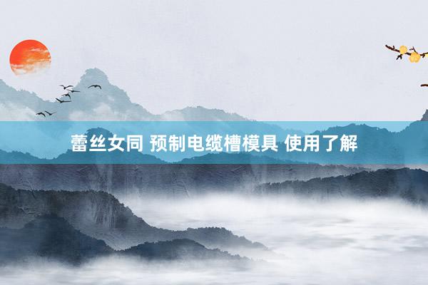 蕾丝女同 预制电缆槽模具 使用了解