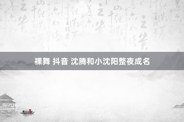 裸舞 抖音 沈腾和小沈阳整夜成名