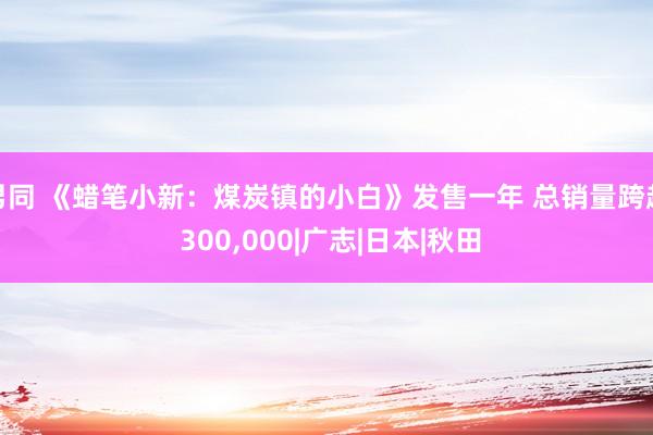 男同 《蜡笔小新：煤炭镇的小白》发售一年 总销量跨越 300，000|广志|日本|秋田
