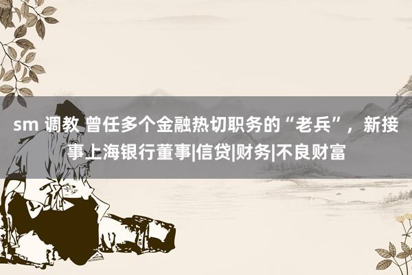 sm 调教 曾任多个金融热切职务的“老兵”，新接事上海银行董事|信贷|财务|不良财富