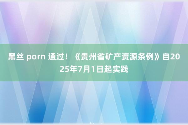 黑丝 porn 通过！《贵州省矿产资源条例》自2025年7月1日起实践