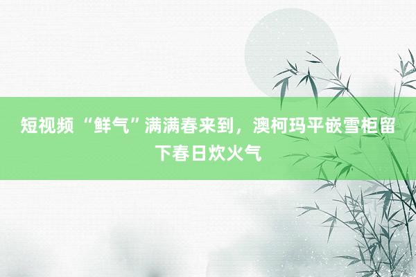 短视频 “鲜气”满满春来到，澳柯玛平嵌雪柜留下春日炊火气