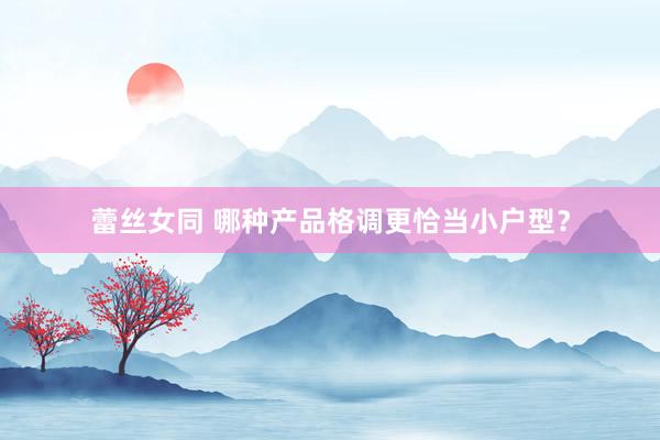 蕾丝女同 哪种产品格调更恰当小户型？