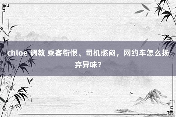 chloe 调教 乘客衔恨、司机憋闷，网约车怎么扬弃异味？