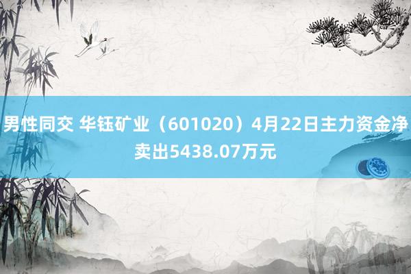 男性同交 华钰矿业（601020）4月22日主力资金净卖出5438.07万元