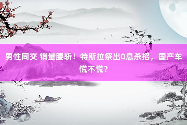 男性同交 销量腰斩！特斯拉祭出0息杀招，国产车慌不慌？