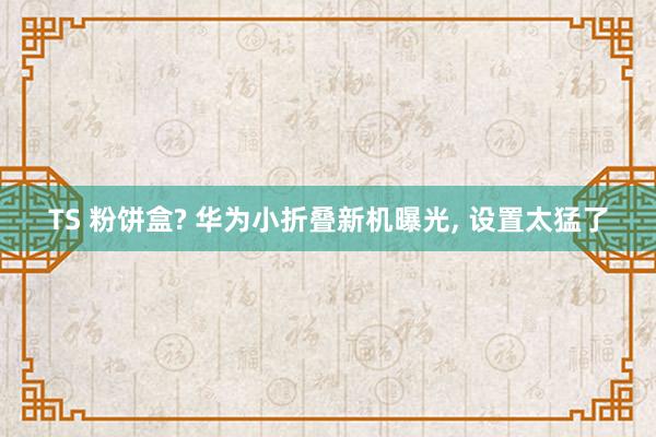 TS 粉饼盒? 华为小折叠新机曝光， 设置太猛了