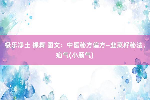 极乐净土 裸舞 图文：中医秘方偏方—韭菜籽秘法，疝气(小肠气)