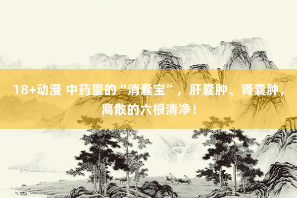 18+动漫 中药里的“消囊宝”，肝囊肿、肾囊肿，离散的六根清净！