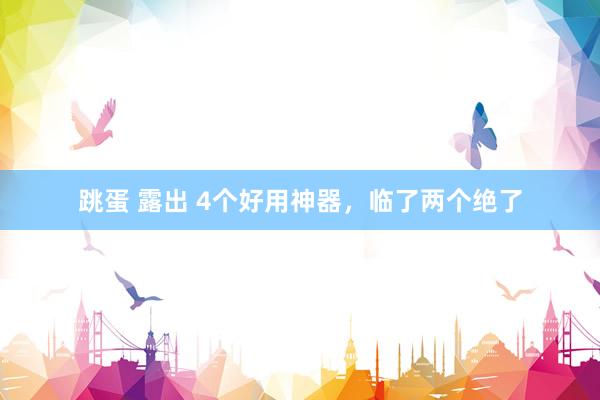 跳蛋 露出 4个好用神器，临了两个绝了